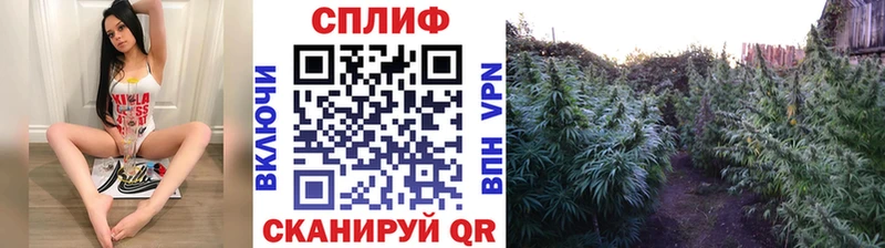 Купить где  Ипатово  Бошки Шишки MAZAR 